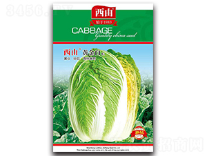 �����S���-�ײ˷N��-����