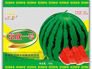 ����һ̖(h��o)-���ϷN��-(li��n)��(chu��ng)