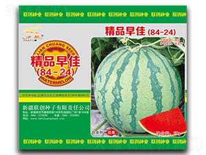 ��Ʒ���84-24-���ϷN��-(li��n)��(chu��ng)