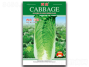 ������ݿ-�ײ˷N��-����