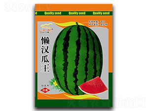 �Нh����-���ϷN��-(li��n)��(chu��ng)