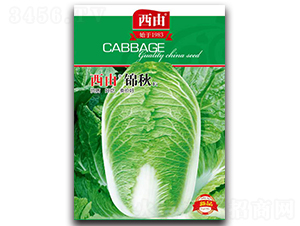 �����\��-�ײ˷N��-����