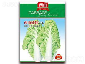 ��������5̖-�ײ˷N��-����