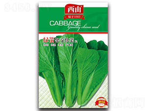 �G���s�����-�ײ˷N��-����