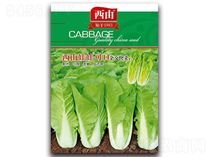 �������޿ɿ�-�ײ˷N��-����