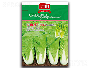 ��������335-�ײ˷N��-����