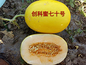 ��(chu��ng)������ʮ̖(h��o)-��ϷN��-(li��n)��(chu��ng)