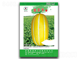 ������-��ϷN��-(li��n)��(chu��ng)