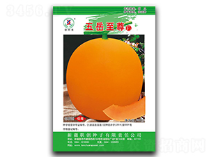 ��������-��ϷN��-(li��n)��(chu��ng)