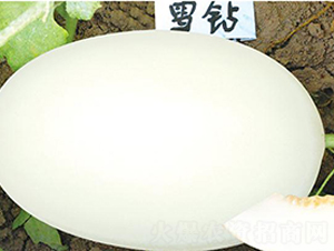 ѩ�@-��ϷN��-(li��n)��(chu��ng)