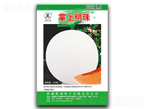 ��������-��ϷN��-(li��n)��(chu��ng)