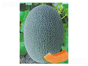 ������һ̖(h��o)-��ϷN��-(li��n)��(chu��ng)