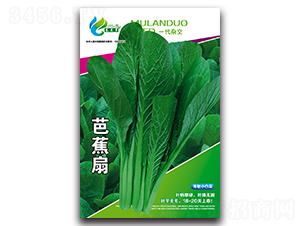 �Ž���-�๣С�ײ˷N��-Ľ�m��