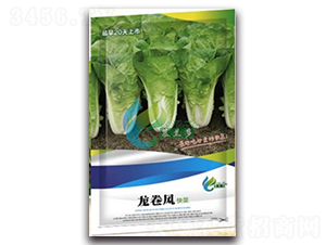 �����L(f��ng)-��˷N��-Ľ�m��