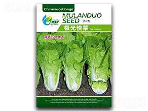 �O����-��˷N��-Ľ�m��