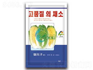 ��̫��-���޲˷N��-Ľ�m��