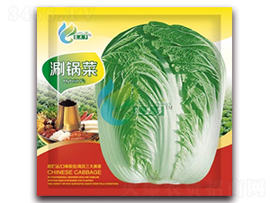 ��偲�-�ײ˷N��-Ľ�m��