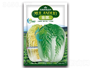 ��-�ײ˷N��-Ľ�m��