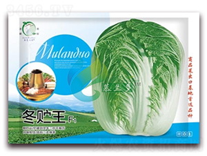 ���A��-�ײ˷N��-Ľ�m��