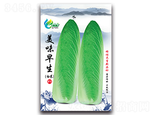 ��ζ����-�ײ˷N��-Ľ�m��