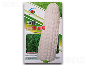 ��{���Ŵ-Ŵ���׷N��-�����o