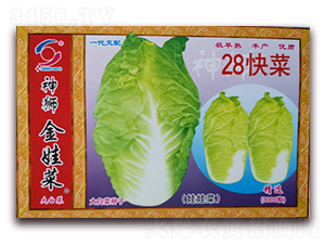 28���-�ײ˷N��-�����o