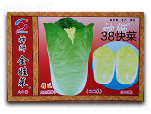 38���-�ײ˷N��-�����o