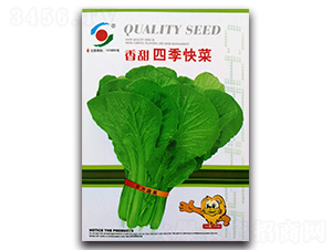 �����ļ����-�ײ˷N��-�����o