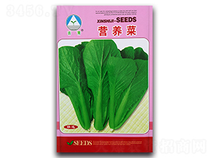 �I�B(y��ng)��-�ײ˷N��-�����o