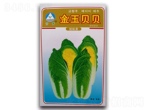 ����ؐؐ-���޲˷N��-�����o