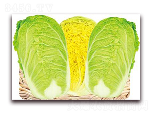 �S�������-���޲˷N��-�����o