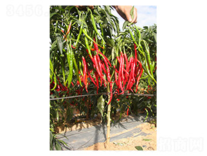 ���ؽ�1̖-�����N��-�����N�I(y��)