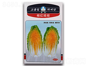 �ۼt����-��ײ˷N��-�����o