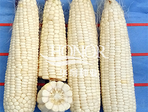 ��Ŵ182̖-���׷N��-�A�ͷN�I(y��)