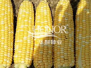 ����7̖-���׷N��-�A�ͷN�I(y��)