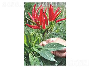 ����131-�����N��-�����N�I(y��)