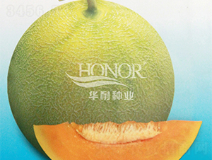 �S��-��ϷN��-�A�ͷN�I(y��)