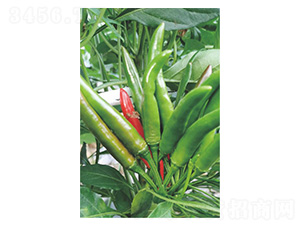 ����153-�����N��-�����N�I(y��)