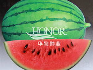 ����2̖(h��o)-���ϷN��-�A�ͷN�I(y��)