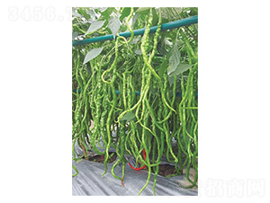 �����L��-�����N��-�����N�I(y��)