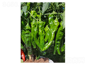 �����-ţ�ǽ��N��-�����N�I(y��)