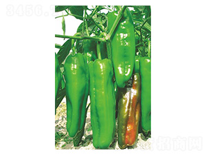 �ش󴨽�-ţ�ǽ��N��-�����N�I(y��)