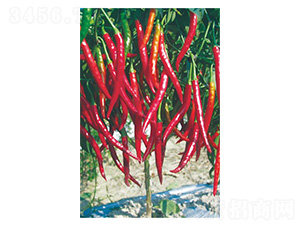 ��ؕ��-�⽷�N��-�����N�I(y��)