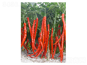 �ɽ�1̖-�����N��-�����N�I(y��)