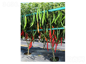 �����t��-�����N��-�����N�I(y��)