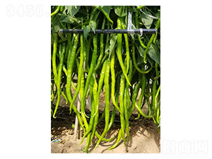 ����140-�����N��-�����N�I(y��)