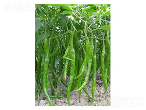 ����l2̖-�����N��-�����N�I(y��)