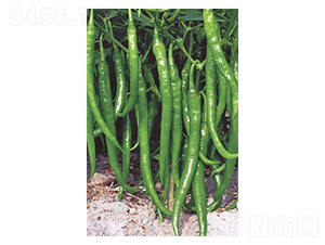 ����1̖-�����N��-�����N�I(y��)