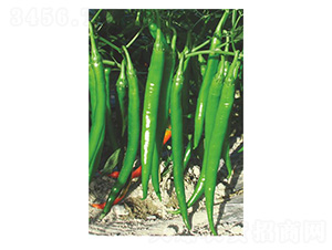 �ֱ62-�����N��-�����N�I(y��)