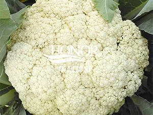 �A���ɻ�100-���˷N��-�A�ͷN�I(y��)